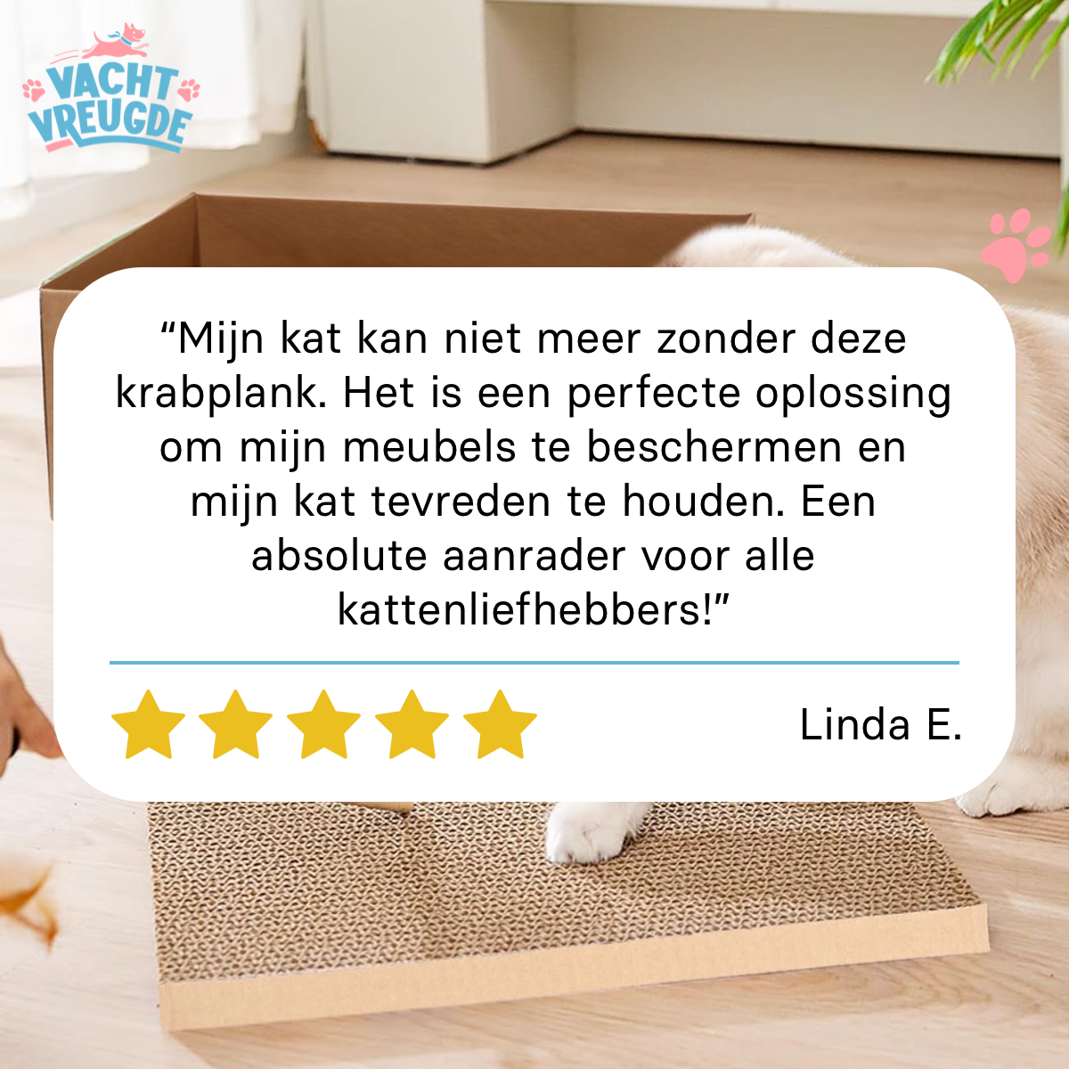 Krabplank voor Katten