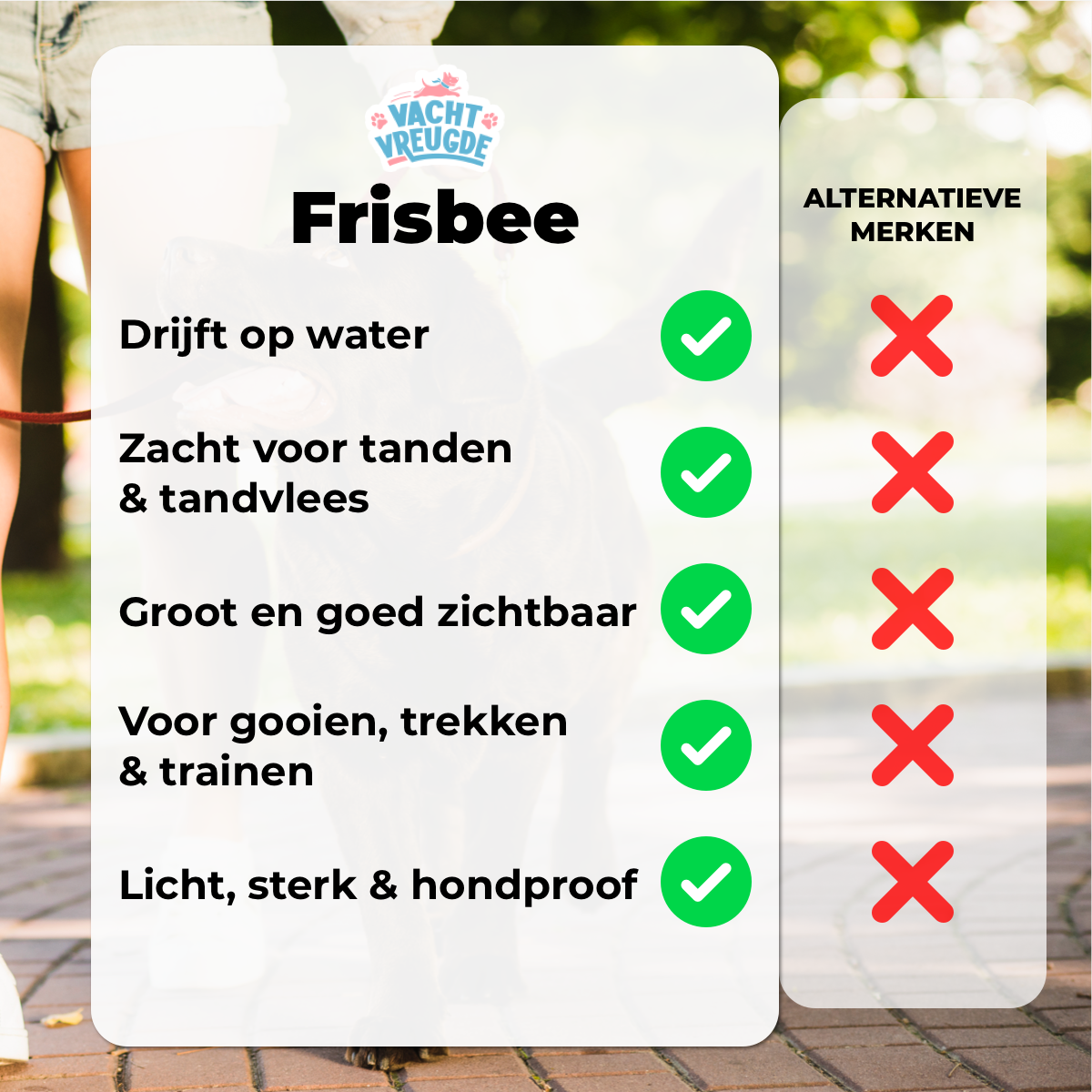 Frisbee voor Honden