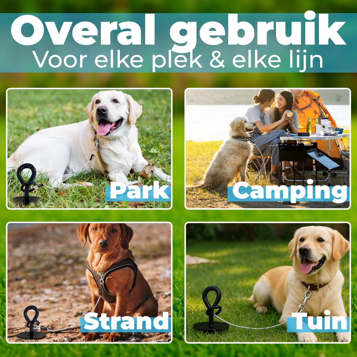 Grondanker voor Honden