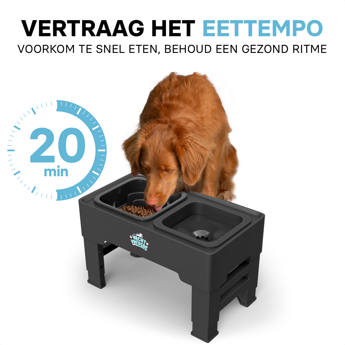 Drink- en Voerbak voor Honden