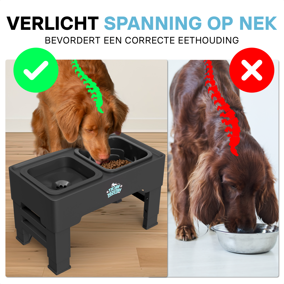 Drink- en Voerbak voor Honden