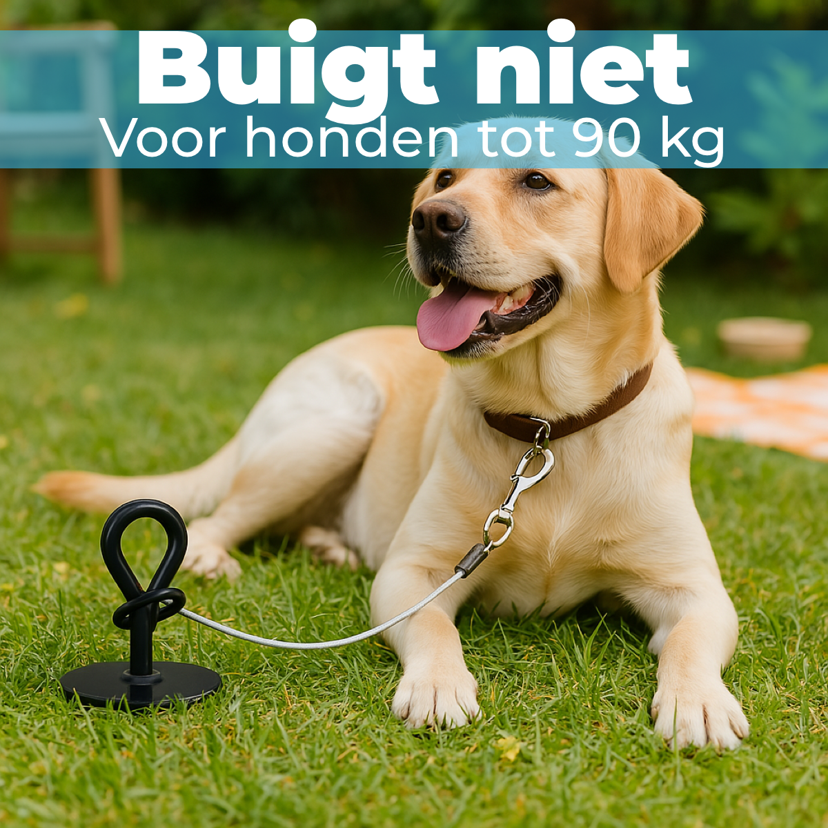 Grondanker voor Honden