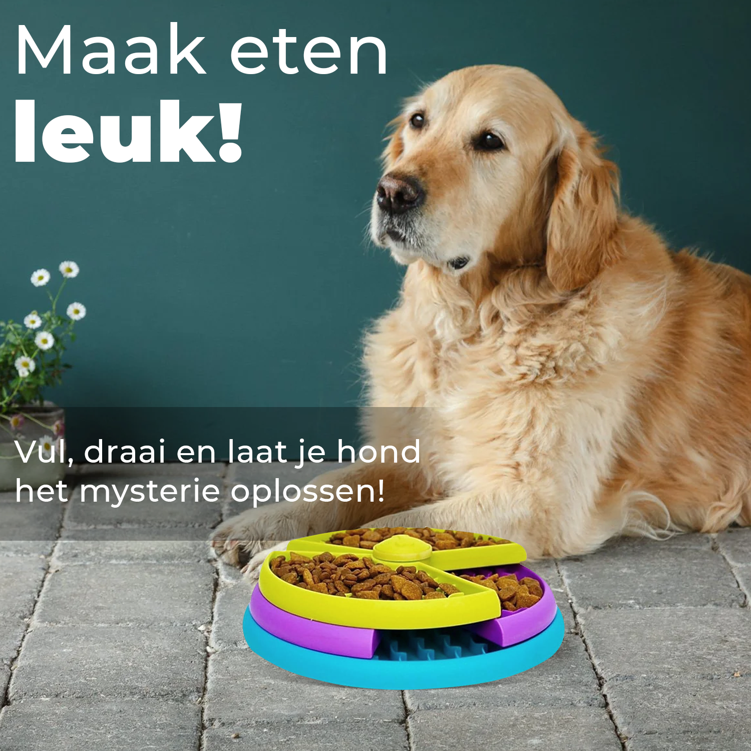 Anti Schrokbak voor Honden