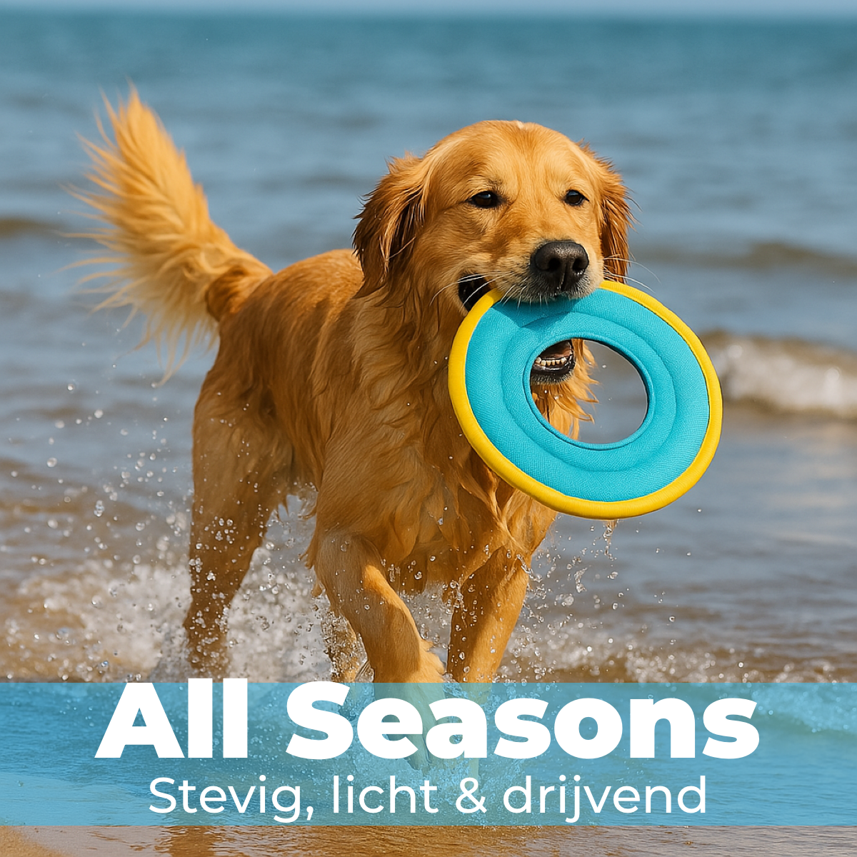 Frisbee voor Honden