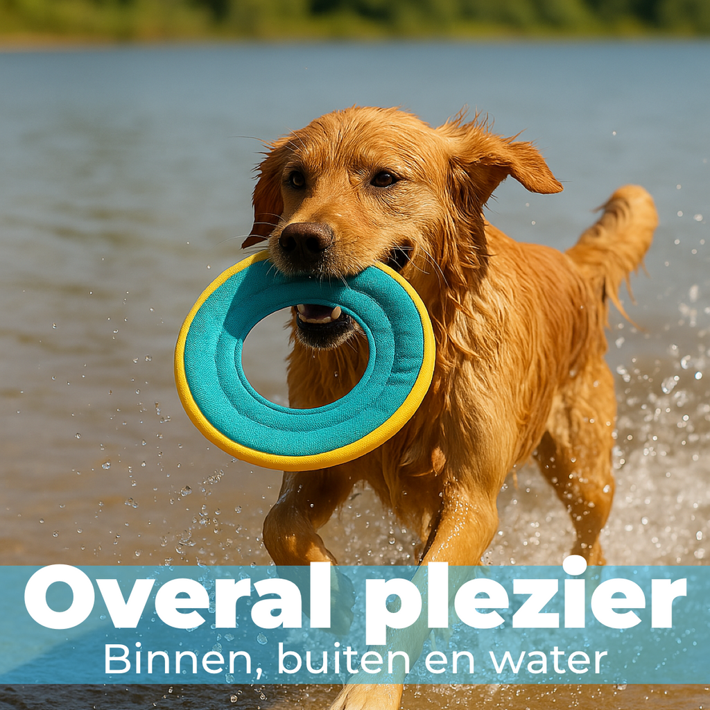 Hondenfrisbee Ø 23 cm – blauw/geel