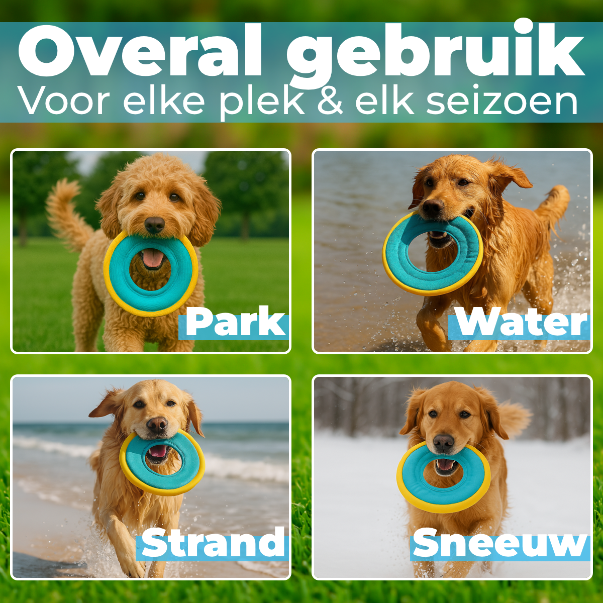 Hondenfrisbee Ø 23 cm – blauw/geel