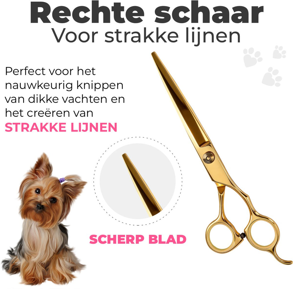 Hondenscharenset 5-delig – goud