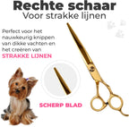 Hondenscharenset 5-delig – goud