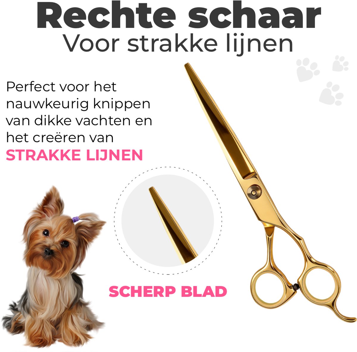 Hondenscharenset 5-delig – goud