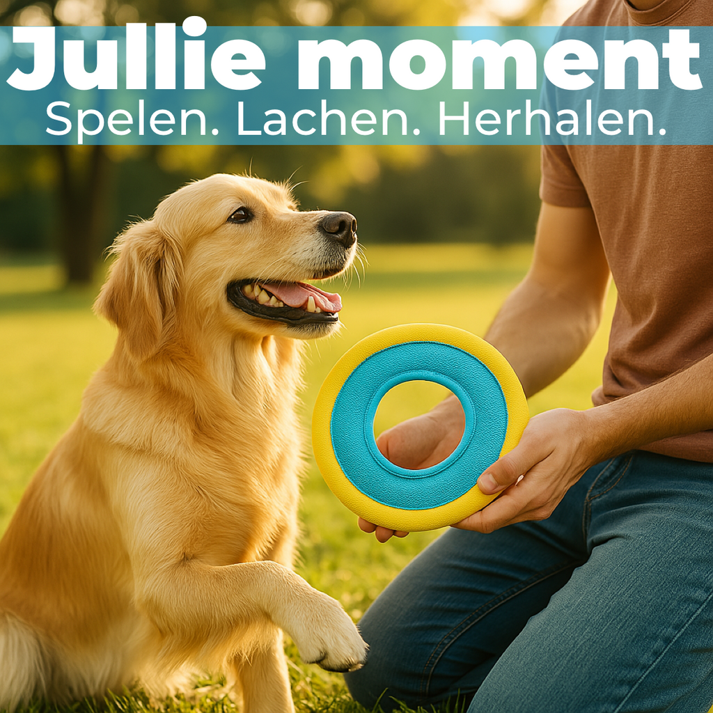 Hondenfrisbee Ø 23 cm – blauw/geel