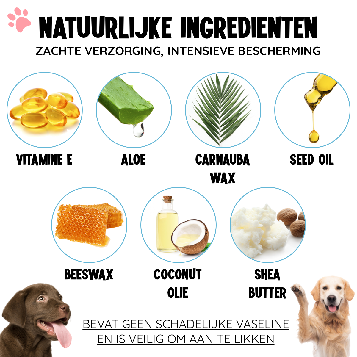 Potenbalsem voor Honden