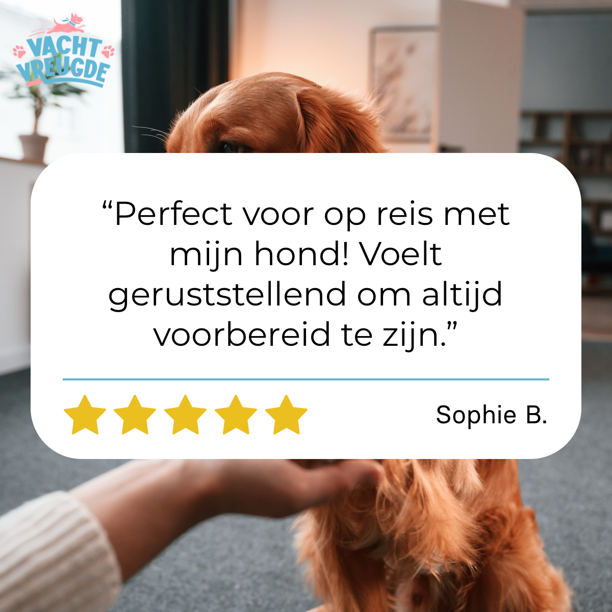 EHBO Kit voor Honden en Katten