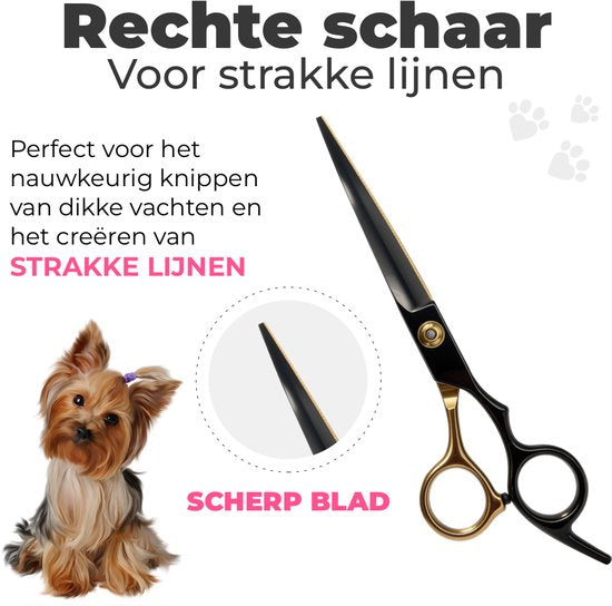 Hondenscharenset 5-delig – zwart/goud