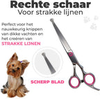Hondenscharenset 5-delig – zilver/roze