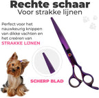 Hondenscharenset 5-delig – paars
