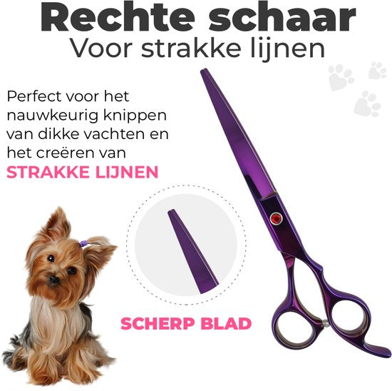 Hondenscharenset 5-delig – paars