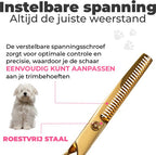 Hondenscharenset 5-delig – goud