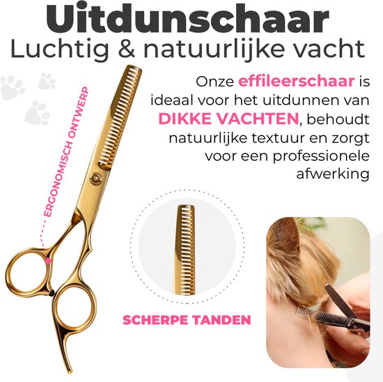 Hondenscharenset 5-delig – goud