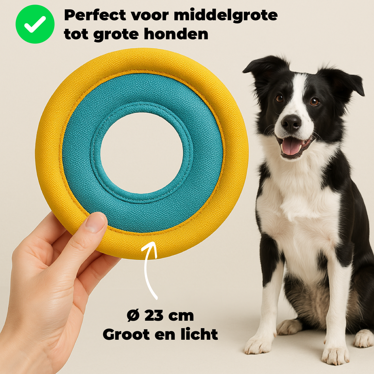 Hondenfrisbee Ø 23 cm – blauw/geel
