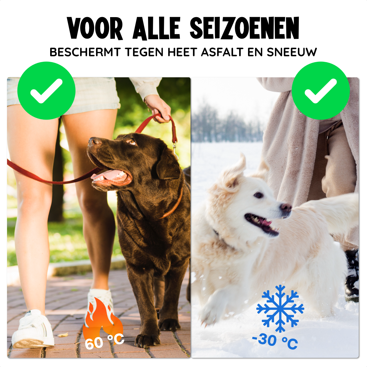 Potenbalsem voor Honden