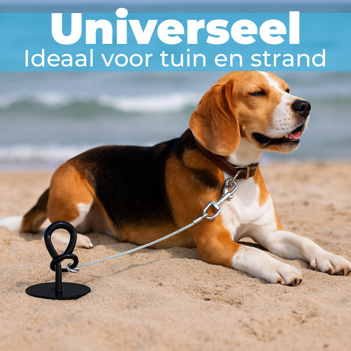Grondanker voor honden