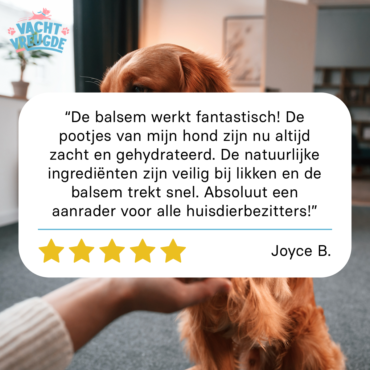 Potenbalsem voor Honden