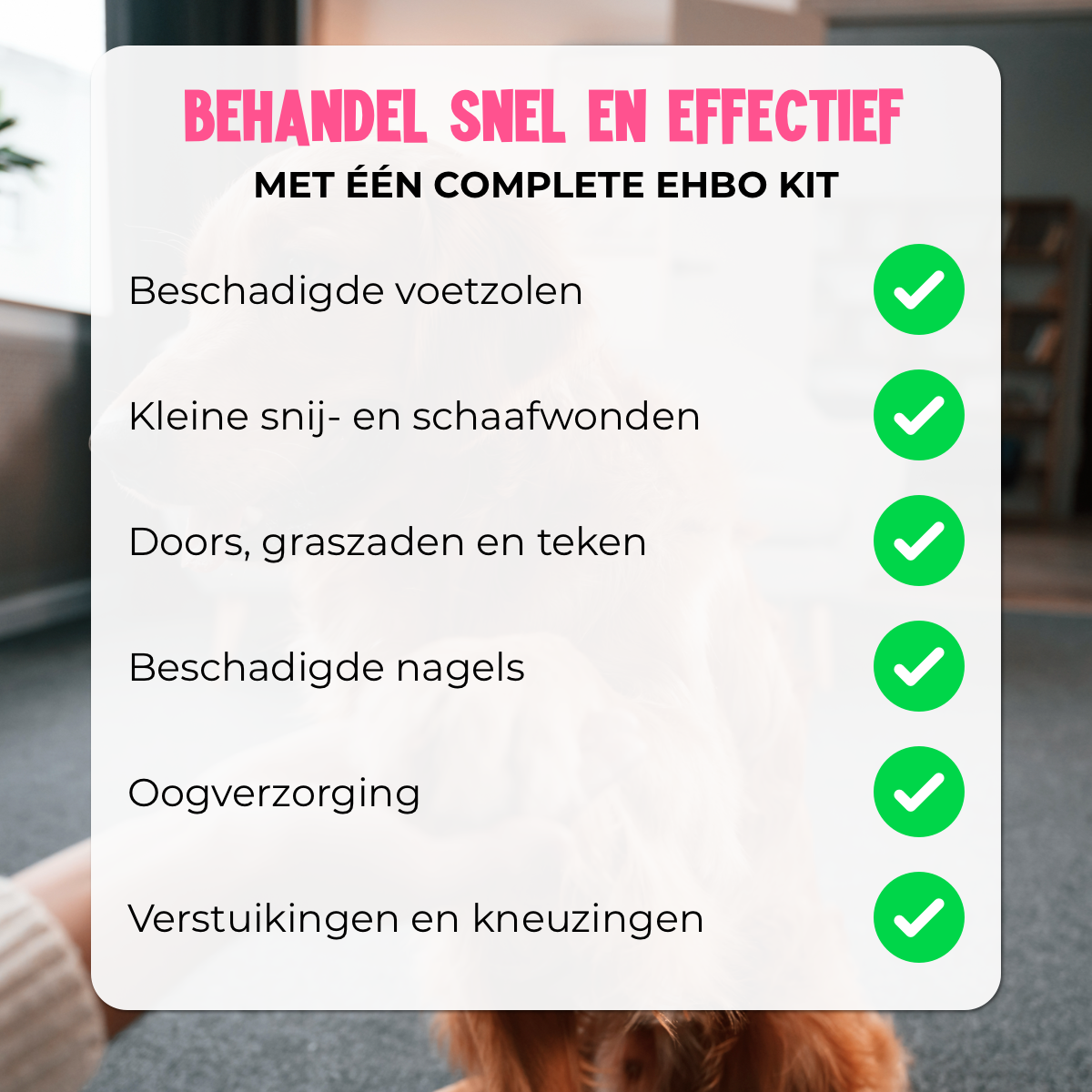 EHBO Kit voor Honden en Katten